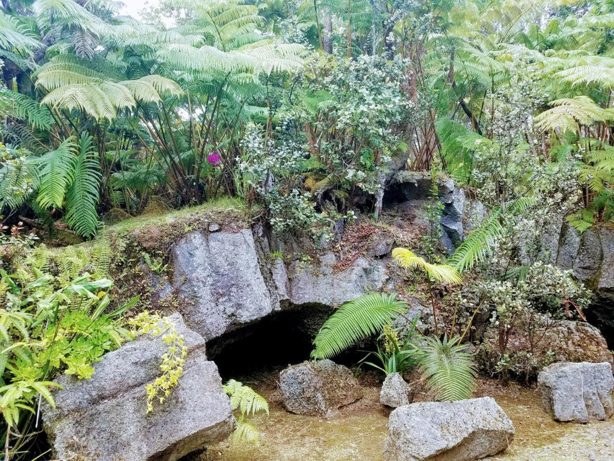 'Ama'U Lani Cottage Volcano Exterior foto