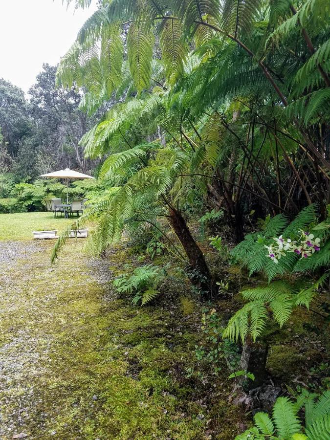 'Ama'U Lani Cottage Volcano Exterior foto